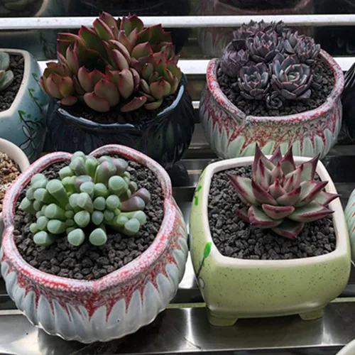 Vista 7 de TOYPOPOR Aditivo de suelo de roca de lava hortícola negra para cactus y plantas suculentas sin tintes ni productos químicos, 100% pura roca