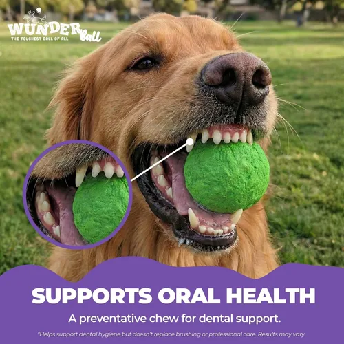Vista 5 de WACKYwalk'r WUNDERball Juguete de Buscar Duradero para Perros – Pelota de Goma Natural Indestructible, Más Segura que las Pelotas de Tenis, Flota