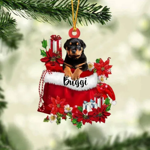 Vista 35 de Perro Akita Inu personalizado en bolsa de regalo, adorno de Navidad, nombre personalizado, regalo para amantes de los perros, familia, Navidad