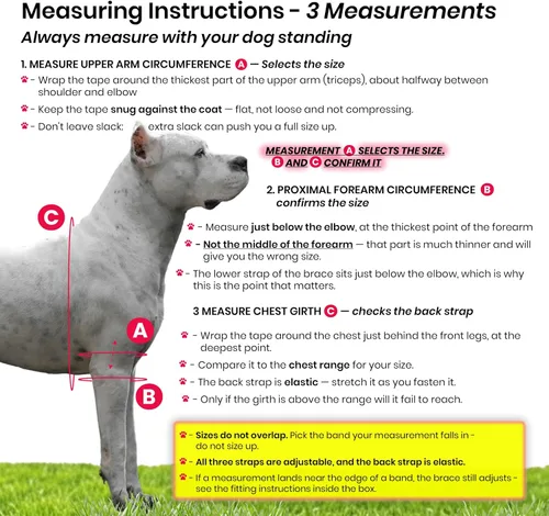 Vista 3 de Coderas protectoras para perros y coderas acolchadas para perros, coderas Hygroma para perros y coderas para perros para úlceras por presión, perros