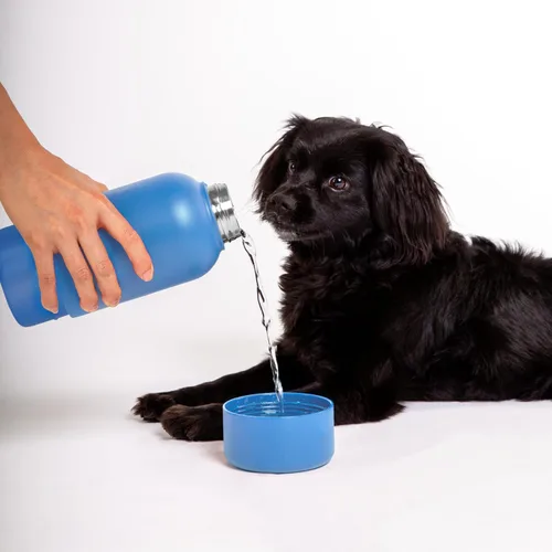 Vista 8 de Ubbi Pup & Me Botella de agua aislada de acero inoxidable para perros con cuenco adjunto, botella de viaje portátil de 32 onzas a prueba de fugas