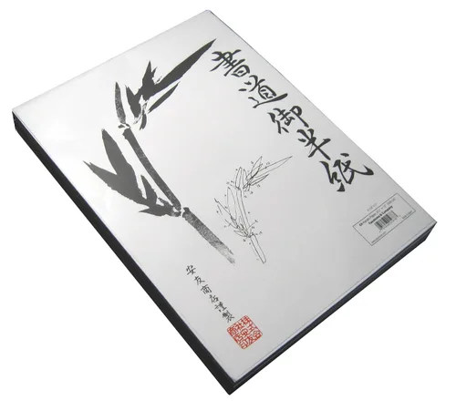 Vista 3 de Yasutomo Hanshi Papel de arroz, 9-1/2 x 13 pulgadas, blanco, paquete de 500