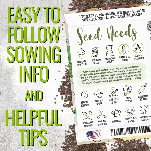 Vista 3 de Seed Needs Purple Top Rutabaga Seeds to Plant Heirloom & GMO 1 paquete