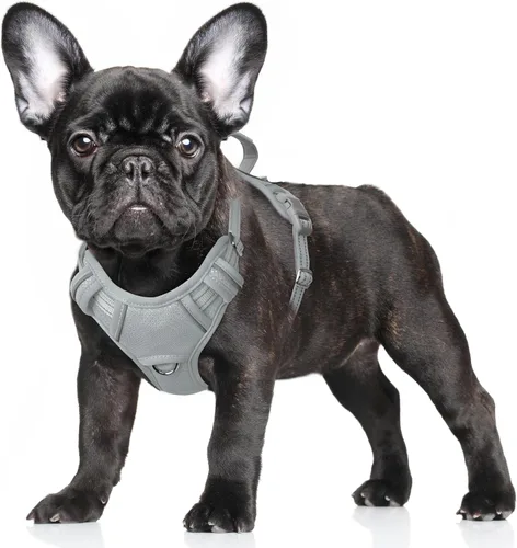 Vista 101 de BARKBAY Arnés para Perro Sin Tirones Talla Grande Arnés Reflectante para Perro con Clip Frontal y Asa de Control Fácil para Caminar Entrenar Correr