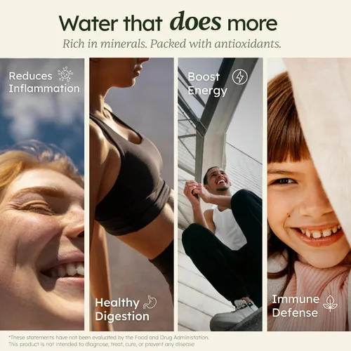 Vista 4 de Máquina de agua alcalina IVYEL PL fabricada en Corea, ionizador de agua, produce agua alcalina pH 8.5-10.0/agua ácida/agua de hidrógeno/filtro
