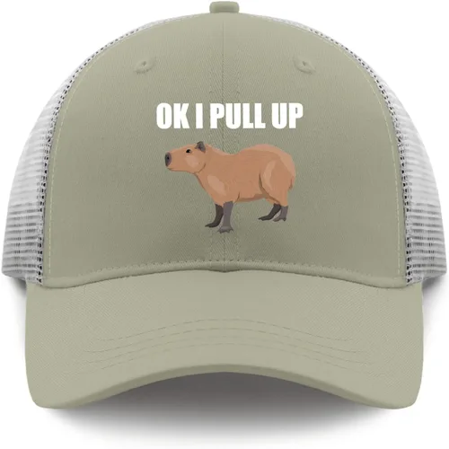Vista 9 de Dad Hats Ok I Pull Up Baseball Caps, Vintage Dad Hats for Men