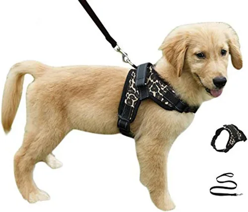 Vista 7 de Juego de arnés de seguridad con correa para perro resistente y ajustable al cuello, correa acolchada que no ocupa que la jales, transpirable