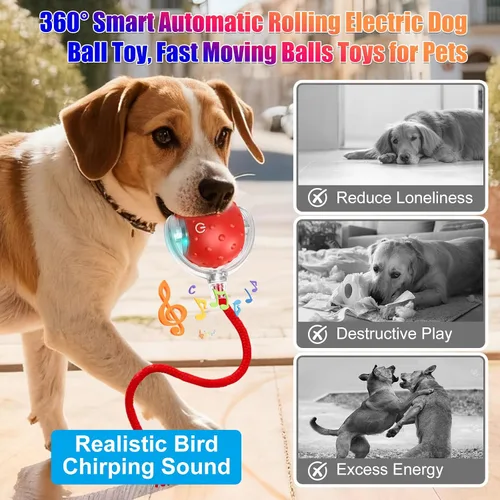 Vista 3 de Juguete Tiny Fetch para Perros, Juguetes Interactivos Tinyfetch para Perros y Gatos con Pelotas con Canto de Pájaros, Juguete de Pelota Eléctrica