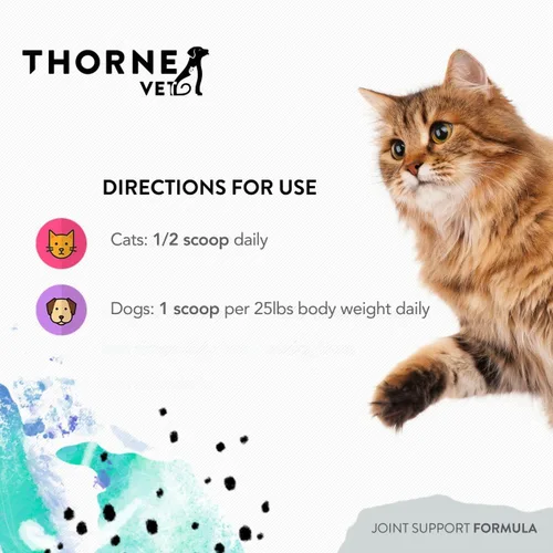 Vista 4 de ThorneVet Arthroplex 120 Cucharas