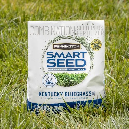 Vista 13 de Pennington Smart Seed Kentucky Bluegrass Blend, semillas de césped