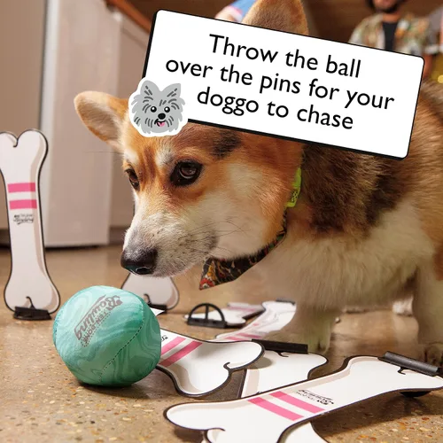Vista 4 de Big Potato Ten Bone Bowling: un juego de fiesta familiar para ti y tu perro Juego de mesa para perros