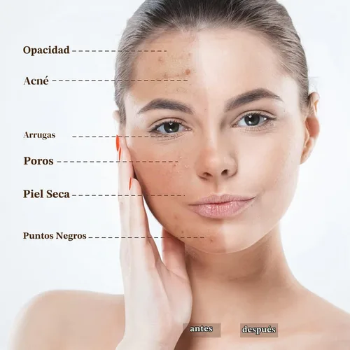 Vista 4 de BestLand 2Pack PHOERA Base de maquillaje líquida de cobertura completa - Corrector ligero de larga duración - Fórmula libre de aceite - Tono natural