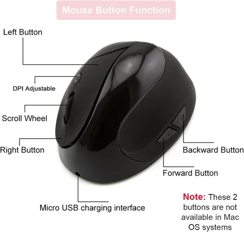 Vista 7 de Ratón vertical ergonómico inalámbrico, mouse Ergo portátil silencioso recargable con receptor USB 2.4G, 6 botones, agarre cómodo, reduce el dolor