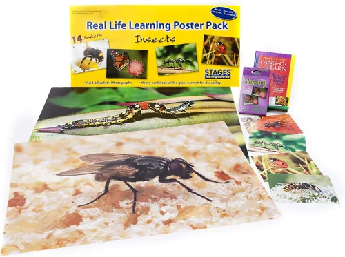 Vista 5 de Learning Materials - Juego de pósteres educativos de animales e insectos para clase, tablones de anuncios preescolares y hora en círculo, 48