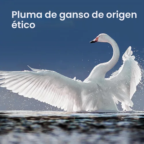 Vista 8 de puredown Almohadas de plumas de ganso y plumón, almohadas de lujo premium con funda 100% algodón, paquete de 2, tamaño estándar, 20 x 26 pulgadas