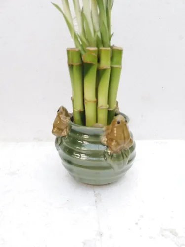 Vista 3 de Ranas creativas con diseño único de bambú de la suerte/mariposa de 6 '' Jm Bamboo