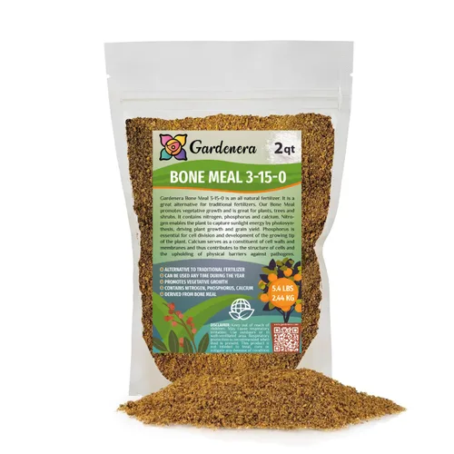 Vista 176 de Fertilizante profesional de palmeras prémium 8-4-8 Plantas en macetas de interior y palmeras de paisaje al aire libre Fertilizante nitrogenado