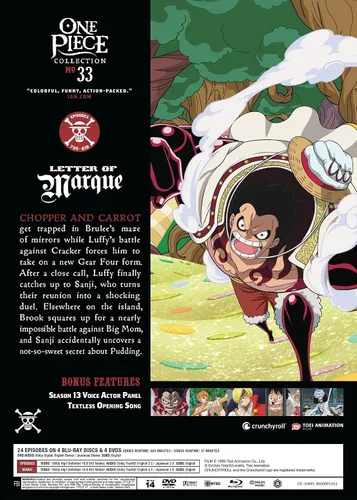 Vista 2 de One Piece Collection 33 - Blu-ray + DVD