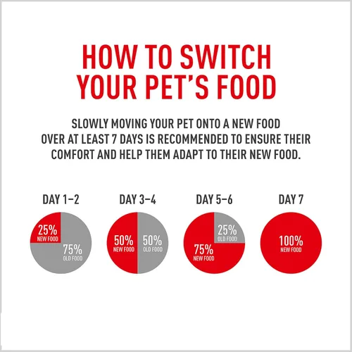 Vista 10 de Alimento seco Royal Canin Breed Health Nutrition para perros French Bulldog adultos, bolsa de 6 lb