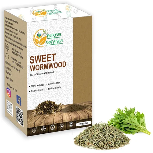 Vista 18 de Herbs Botanica Angelica Root - Hierba angélica de corte suelto y tamizado Ángel de hierbas Angelica Archangelica para té de hierbas, para hornear