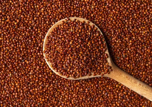 Vista 5 de Food to Live Quinua roja, 12 onzas de semillas integrales antiguas, crudas, germinables, kosher, veganas, sirtfood, a granel. Cocción rápida