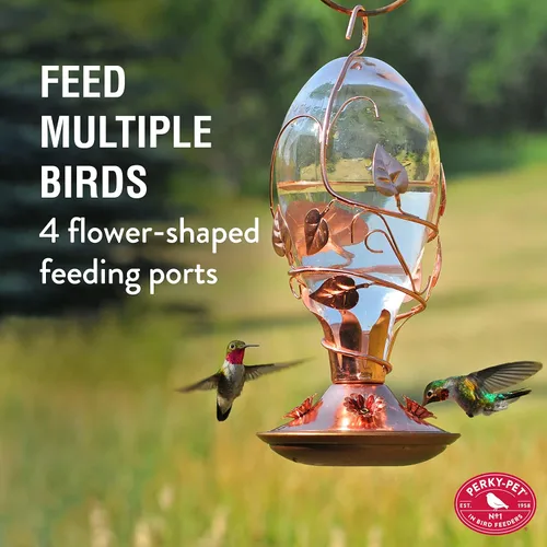 Vista 2 de Perky-Pet 8110H-1 - Comedero de cristal para colibríes para exteriores, capacidad de néctar de 32 onzas
