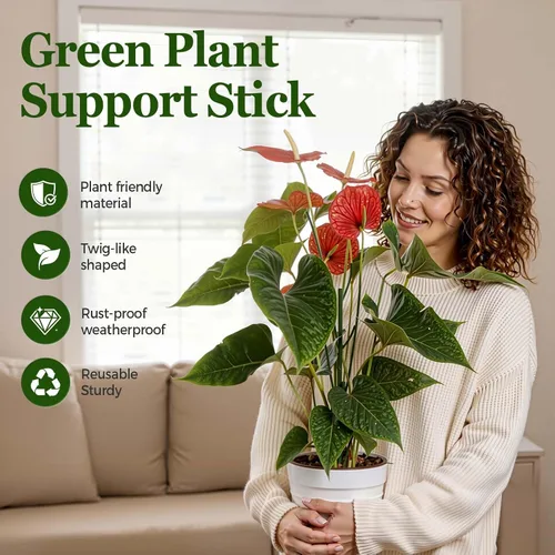 Vista 2 de Paquete de 10 estacas apilables Monstera para plantas, soportes ajustables para plantas pequeñas en macetas de interior, potos, filodendro, hiedra