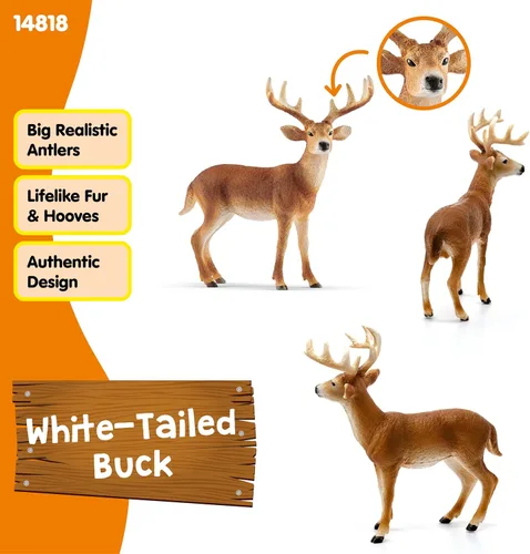 Vista 2 de Schleich Wild Life, Figura de Animal, Juguetes de Animales para Niños y Niñas de 3-8 Años de Edad, Venado de Cola Blanca, Edades 3+