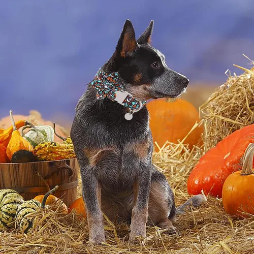Vista 5 de Collar de Halloween para perro con flor, collar de flores de algodón de calabaza para cachorros, hembras, perro o gato, collar de flores