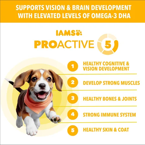 Vista 2 de IAMS Proactive Health - Alimento seco para cachorros sabor pollo, bolsa de 5 libras Omega-3 DHA for cognitive & vision development, protein from