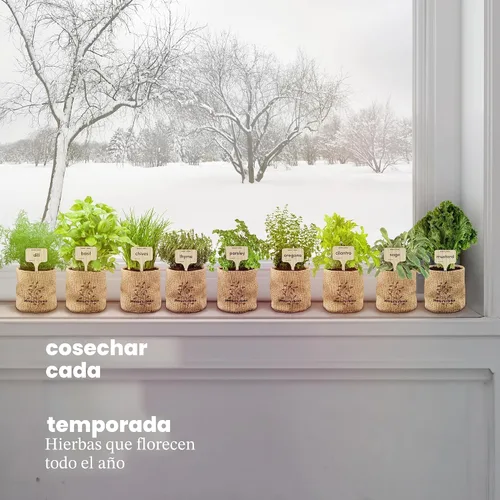 Vista 8 de Kit de jardín para ventana interior de 9 hierbas, semillas de plantas de interior, regalos de cumpleaños Best Unique Gift Ideas for Women, Mom