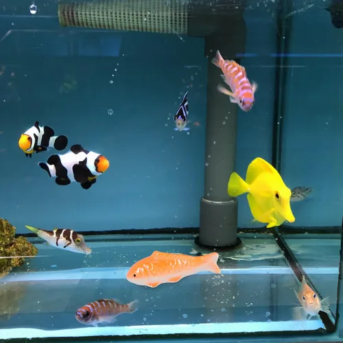 Vista 2 de Toddmomy Adorno flotante de peces para decoración de acuario, 3.85 x 1.41 x 1.25 pulgadas, adorable acento de pecera de cerámica con diseño realista