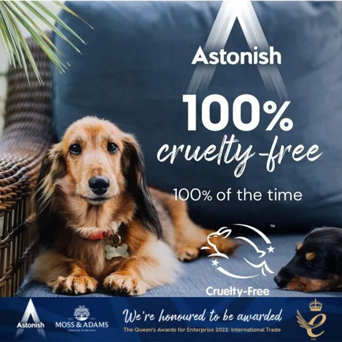 Vista 6 de Astonish – Pasta de limpieza