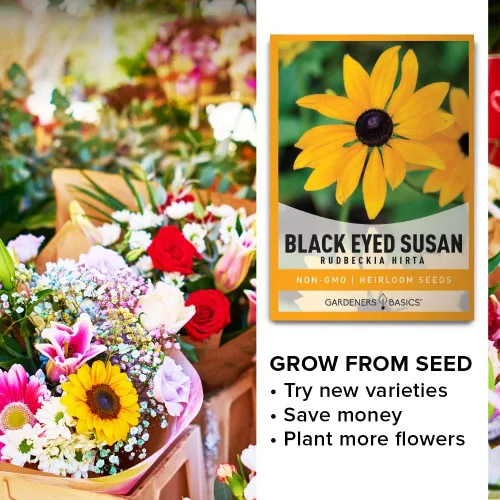 Vista 6 de Gardeners Basics, Black Eyed Susan Seeds para plantar, semillas de flores Rudbeckia Hirta para jardines de flores cortadas, hermosas flores