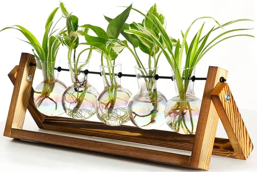 Vista 10 de XXXFLOWER Estaciones de propagación de terrarios de plantas, regalos únicos para mujeres, esposa, mamá, amantes de las plantas, 3 jarrones