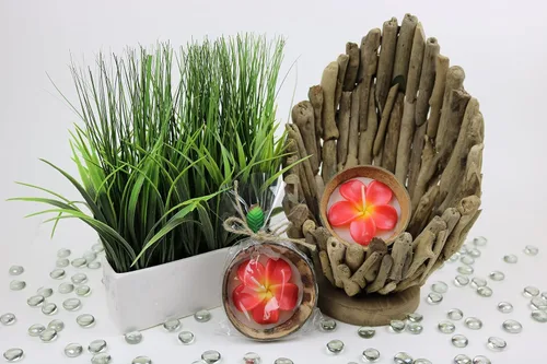 Vista 5 de Plumeria Candle In Coconut Shell crafted by Hands