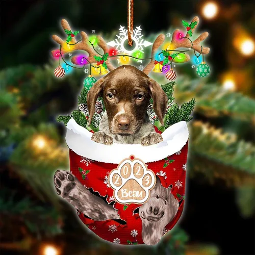 Vista 64 de NAZENTI Adorno Navideño de Bolsillo Personalizado de Affenpinscher en la Nieve, Adorno de Forma Acrílica de Perro, Adorno de Navidad 2023, Adorno