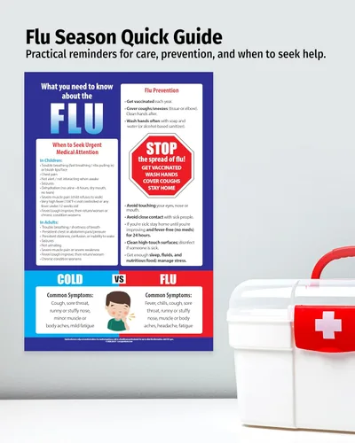 Vista 4 de Póster de prevención de la gripe – laminado, 12 x 18 pulgadas – Gráfico de gripe contra resfriado – Decoración de oficina de enfermeras escolares