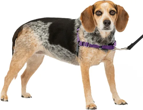 Vista 46 de PetSafe Easy Walk - Arnés para perro, sin tirones, gris carbón Carbón/Negro