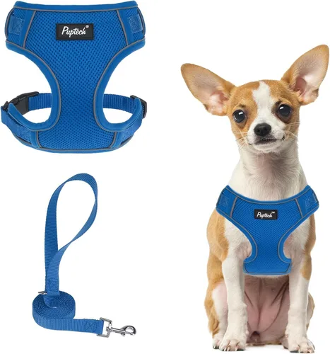 Vista 15 de PUPTECK Juego de arnés y correa para perro pequeño, arnés ajustable sin tirones para cachorro, chaleco de malla suave reflectante para mascotas