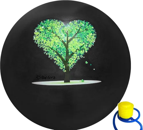 Vista 9 de bintiva Pelota de ejercicio