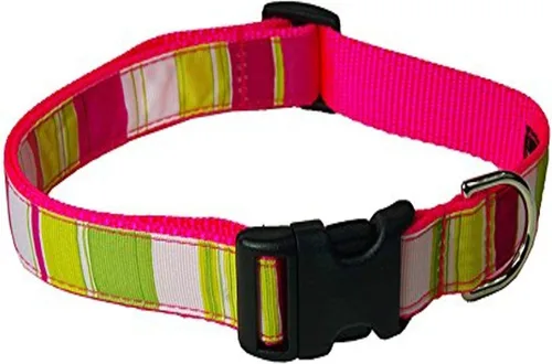 Vista 7 de Collar de perro con estampado a rayas Morado/Multi 10-14 pulgadas, pequeño Púrpura/Multi