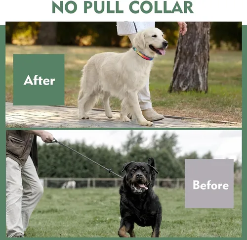 Vista 3 de Collar Martingale para perro, collar de entrenamiento para caminar sin tirones, collar táctico ajustable con hebilla de metal resistente, collar