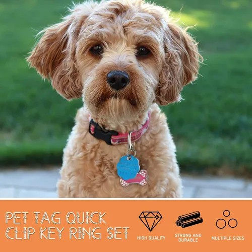 Vista 3 de 18 piezas con clip para placa de identificación de mascotas, combo de clip rápido con anillos, soporte de clips rápidos de acero inoxidable
