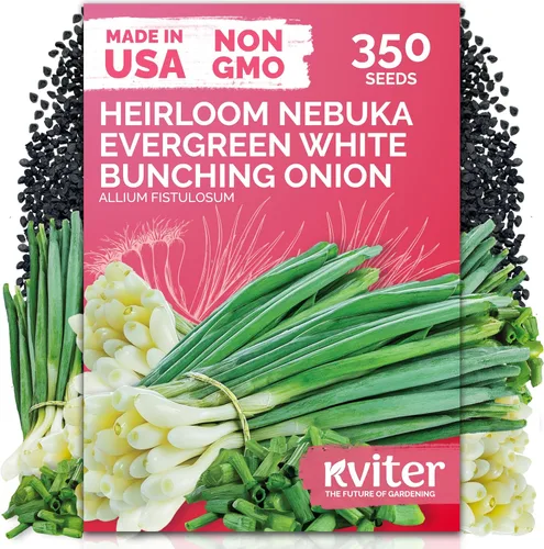 Vista 32 de KVITER 3000 semillas de espinaca egipcias - Molokhia (Corchorus Olitorius) - Hojas de yute, Ewedu, Día de Rau, Semillas de vegetales Saluyot