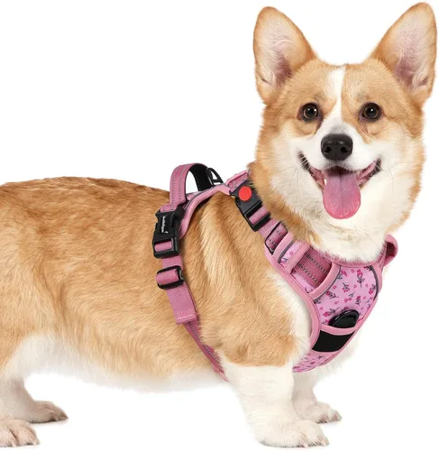 Vista 43 de Rabbitgoo - Arnés para perro de tamaño pequeño, arnés para mascotas sin tirones con 3 hebillas, chaleco acolchado suave ajustable con mango