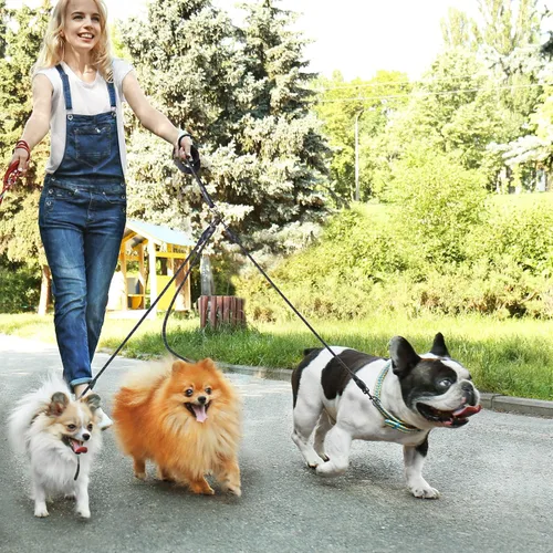Vista 2 de Correa para perro de 3 vías, correa de perro de 57 pulgadas desmontable giratoria 360 sin enredos con mango acolchado suave para perros Negro de 3