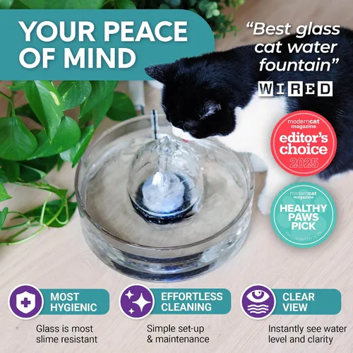 Vista 3 de Brook Fuente de vidrio para mascotas (90 oz/2.7 L) - Fuente de agua para gatos y perros - Fuente de vidrio para gatos y dispensador de agua