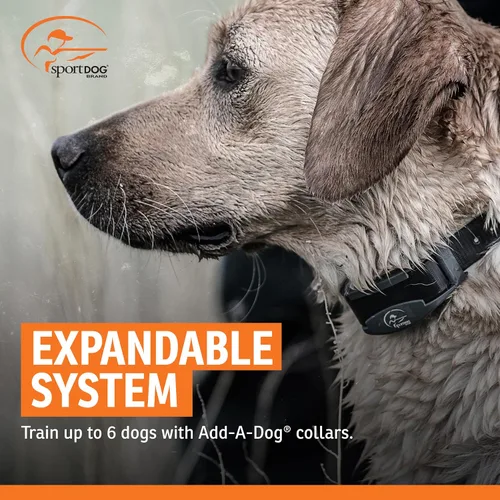 Vista 7 de SportDOG Brand SportTrainer 1275 - Entrenador remoto - Pantalla OLED brillante y fácil de leer - Rango de 3/4 millas - Collar de entrenamiento