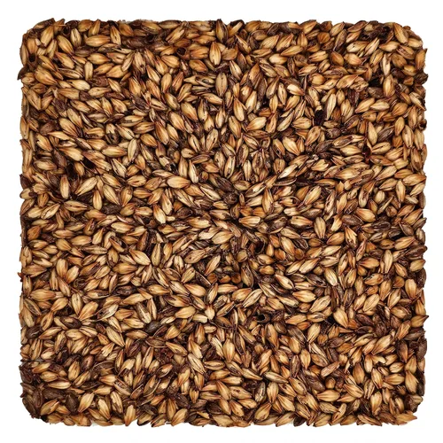Vista 10 de Briess 26-QVZH-HVSI Grano de malta de cerveceros estadounidenses para elaboración de cerveza y cerveza casera 1 lb. (2 filas de cerveceros), marrón